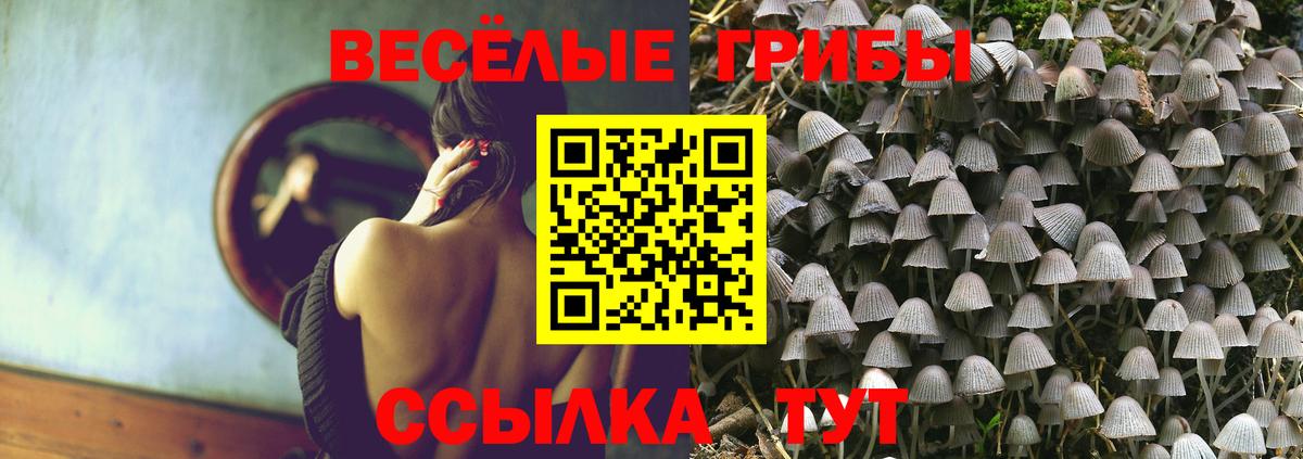 Галлюциногенные грибы ЛСД Дзержинский